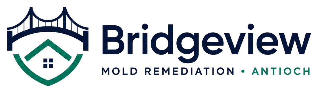 Bridgeview Mold Remediation Antioch logo